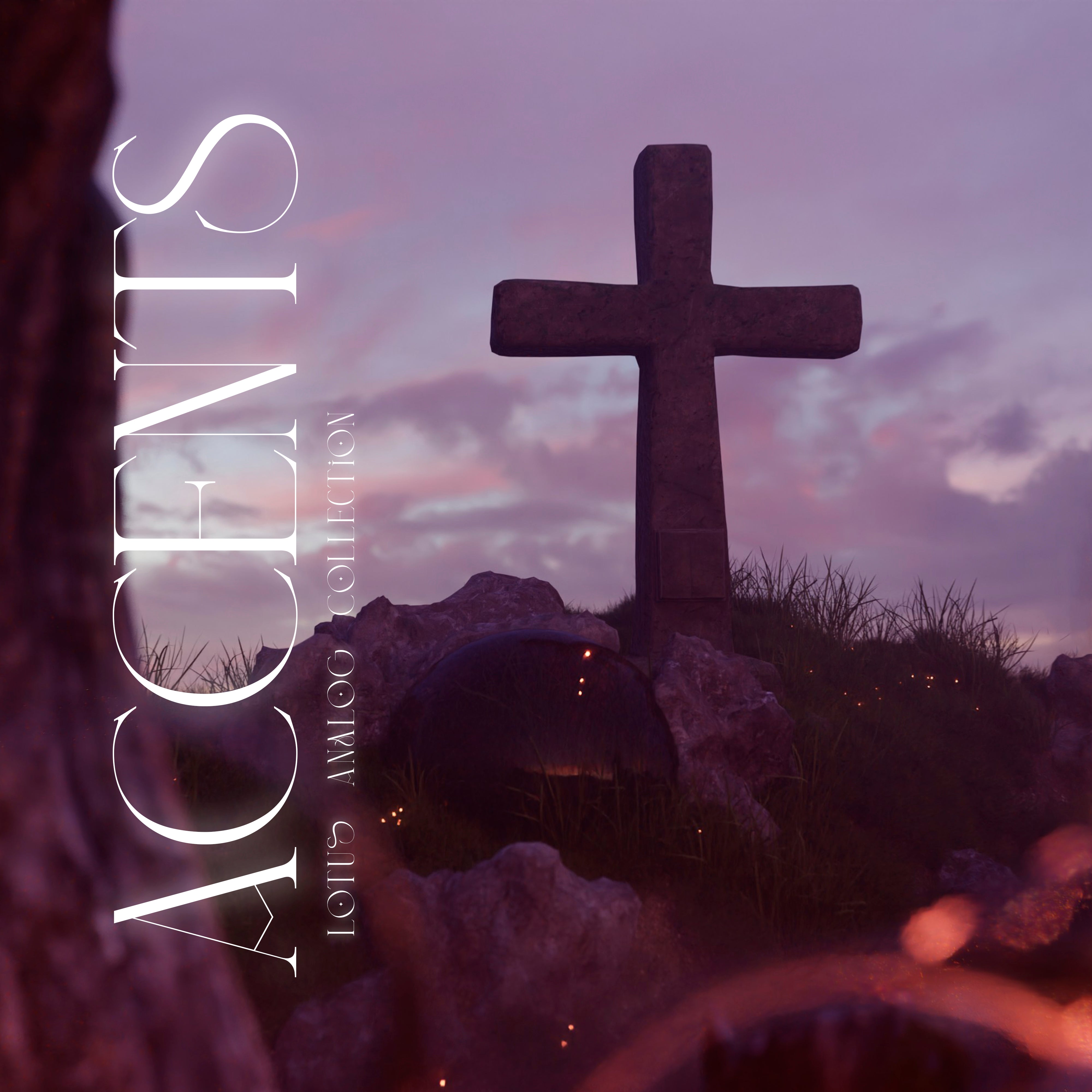 Limited Time: Lotus Accent Kit