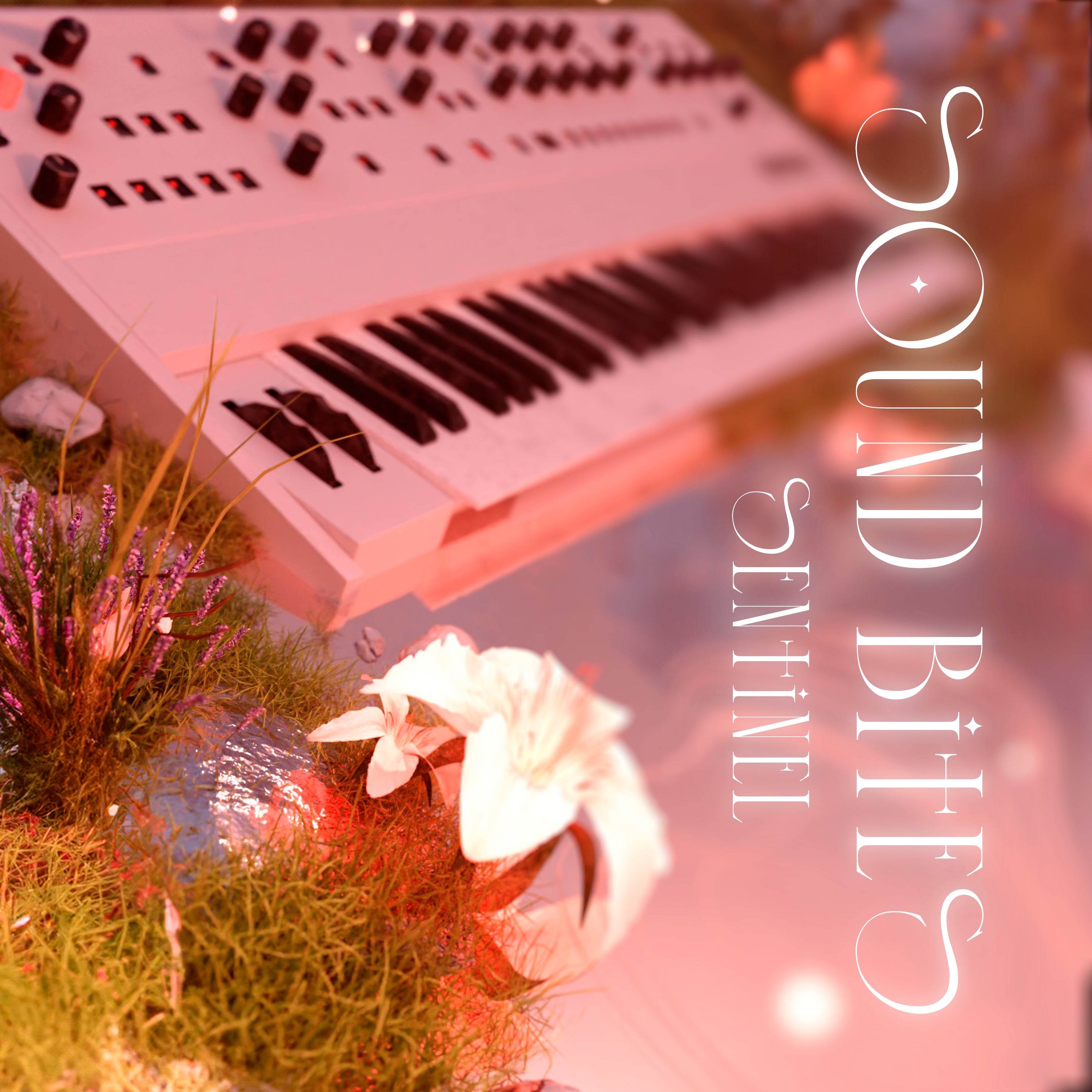 Limited Time: Sentinel Sound Bites