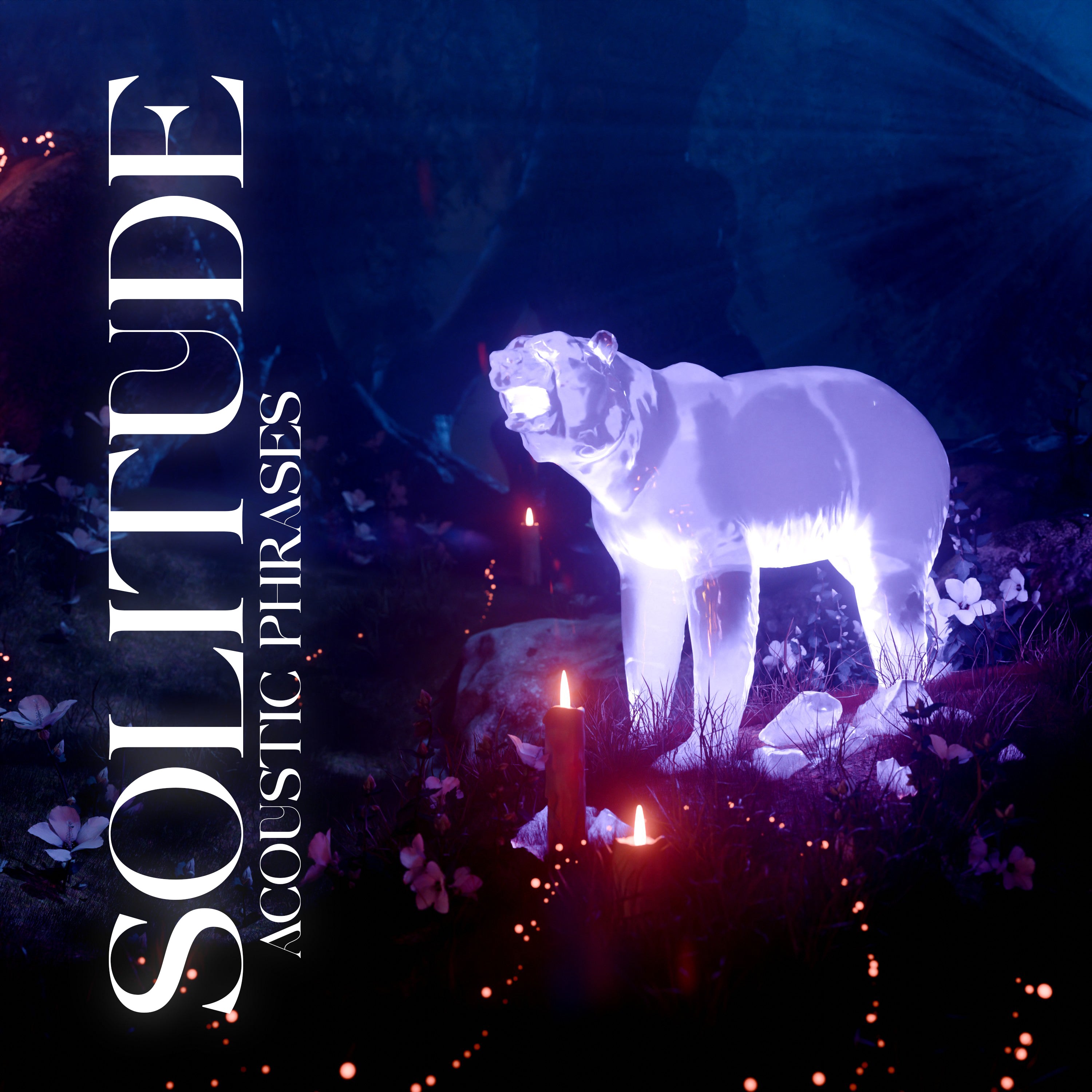 Solitude - Acoustic Phrases